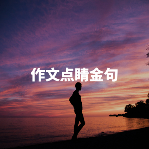 30条作文点睛金句