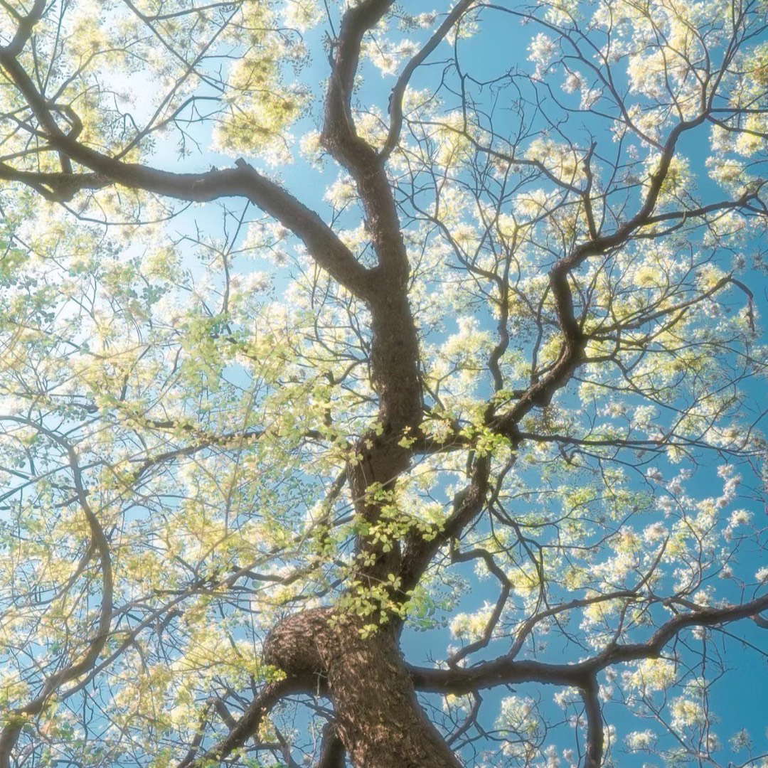 直接封神小众高级祝福文案