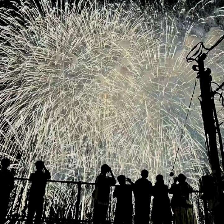 南奉北执