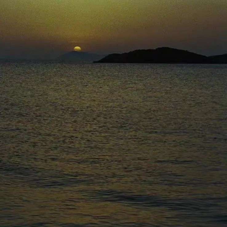 日落屿霖的专辑