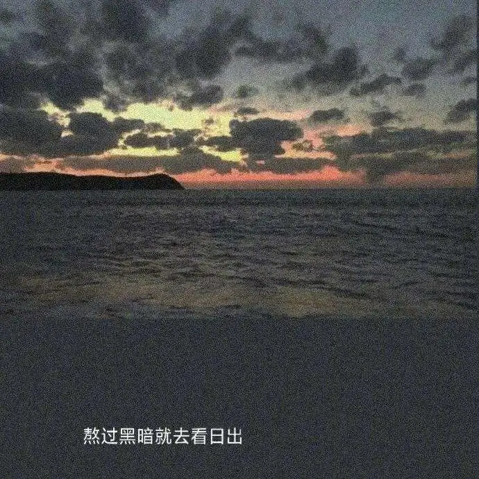 寻觅温柔