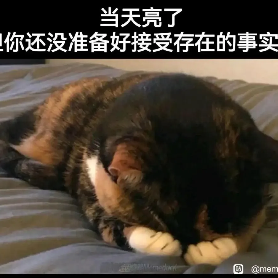 情绪