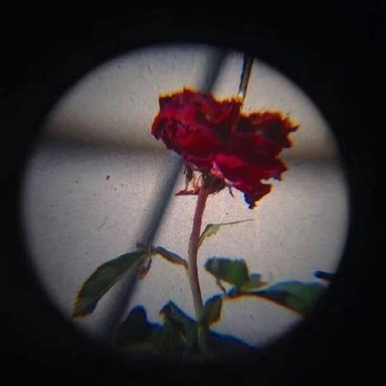 小说中那些触动你内心的句子