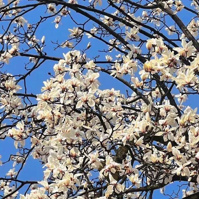 学生党不看绝对会后悔的作文素材