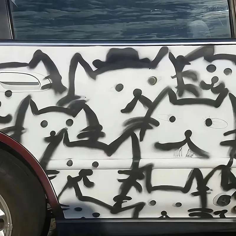 像小猫一样的自由浪漫快乐文案