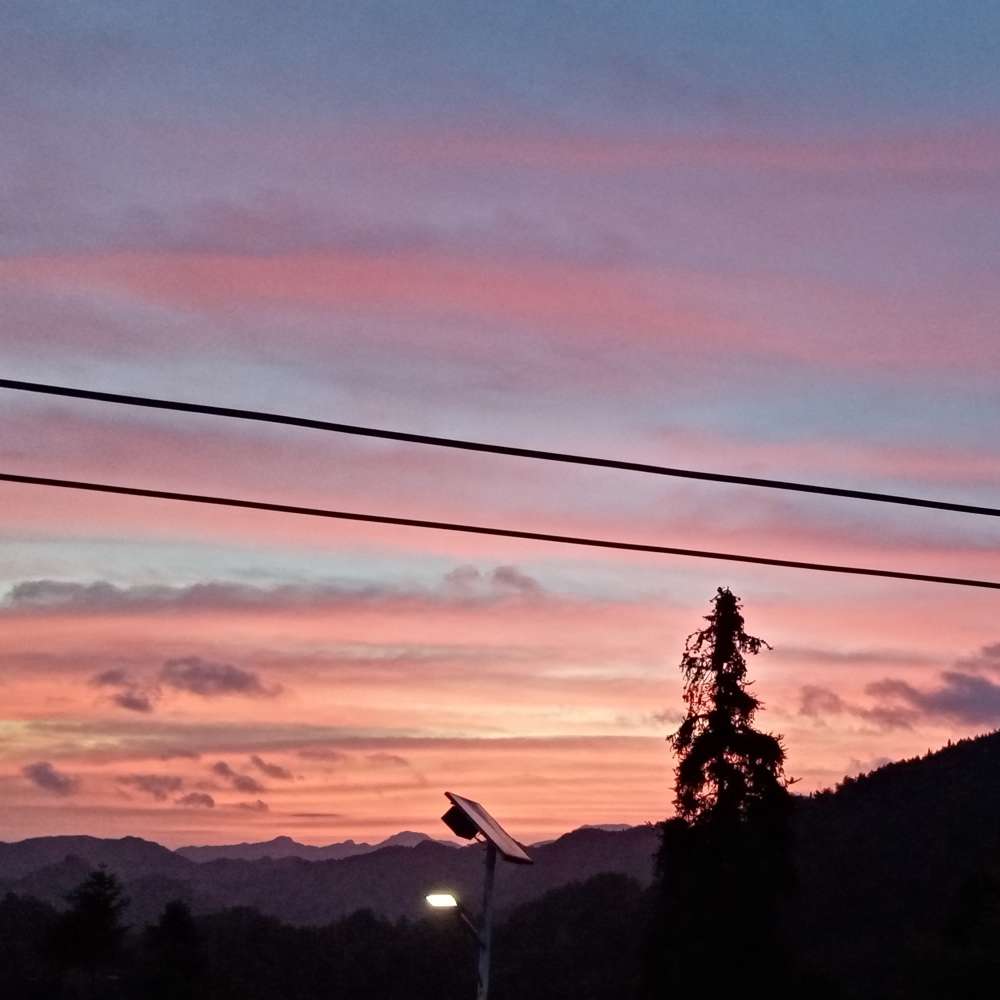 小王同学的专辑