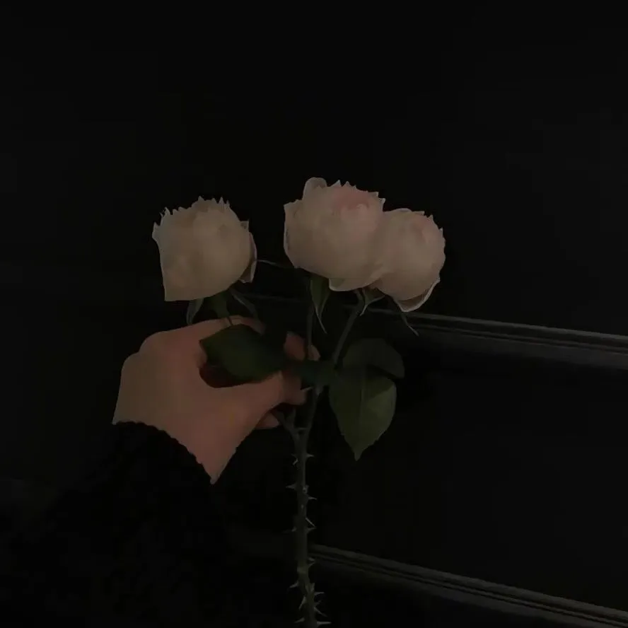 伤感美学