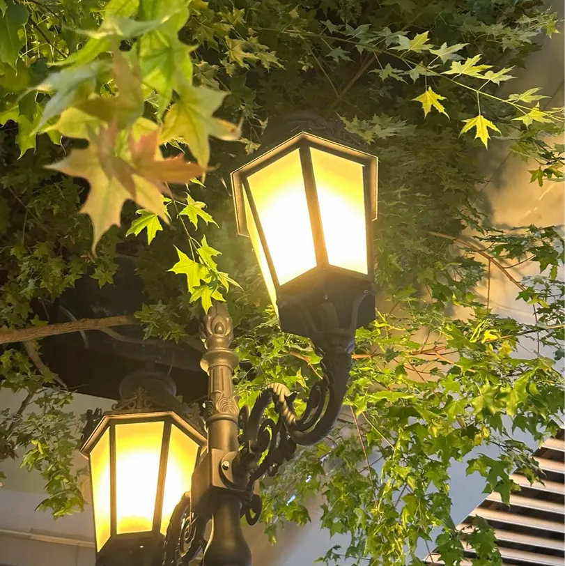 无风格句子