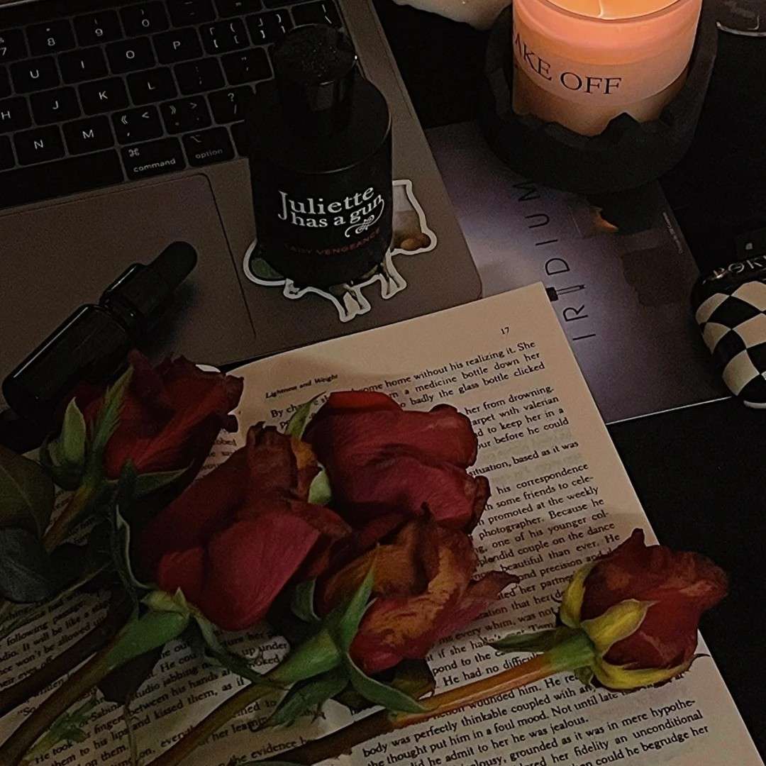 总有一句小说语录让你动心