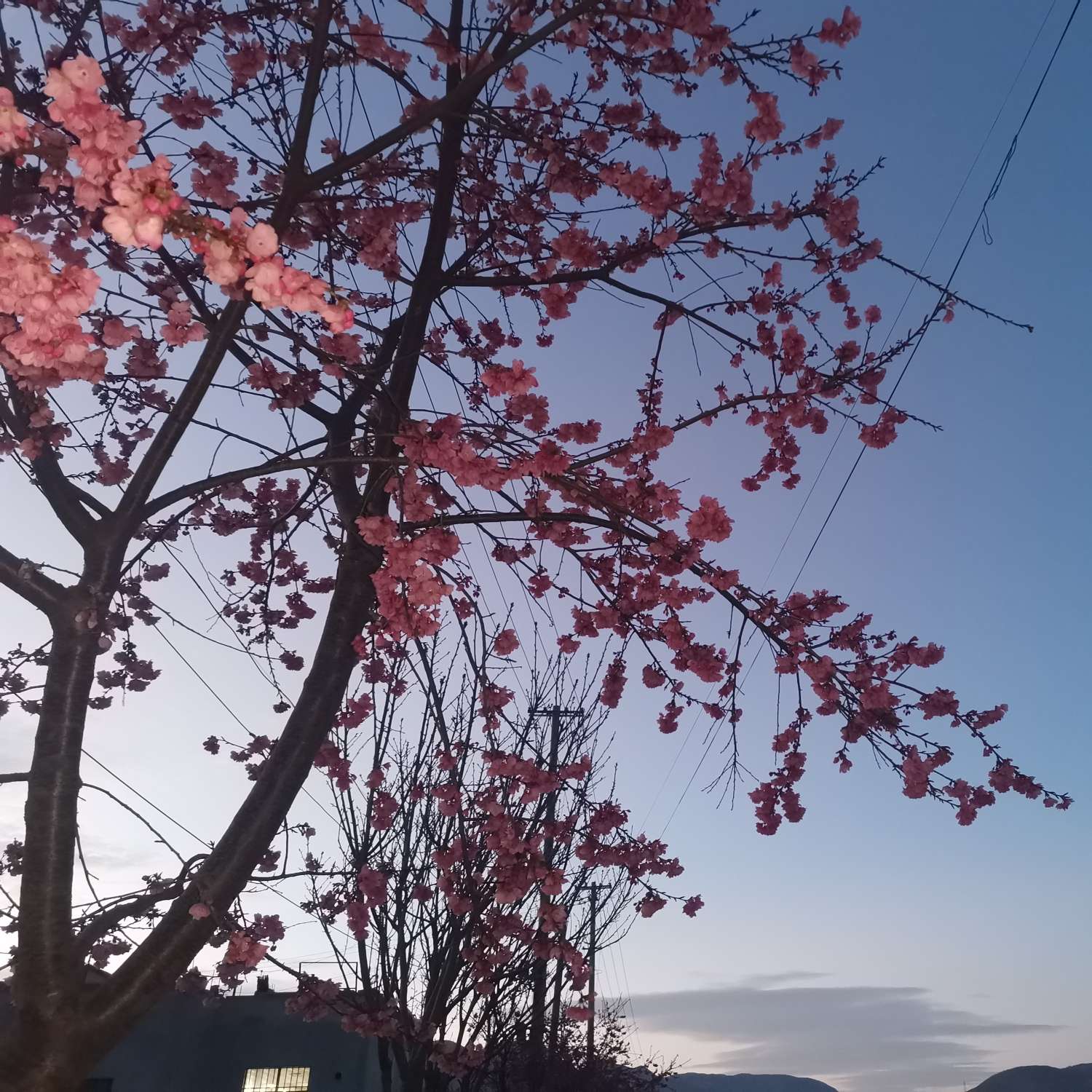 นอร์ทซิตี้ไม的专辑