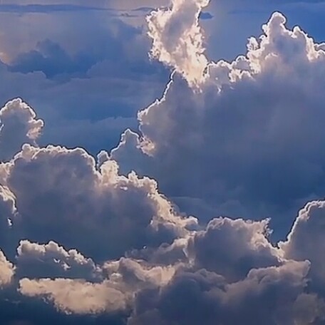 我心向你，得不到回应不怪你