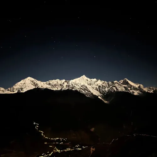 那些铲屎官的晒猫文案