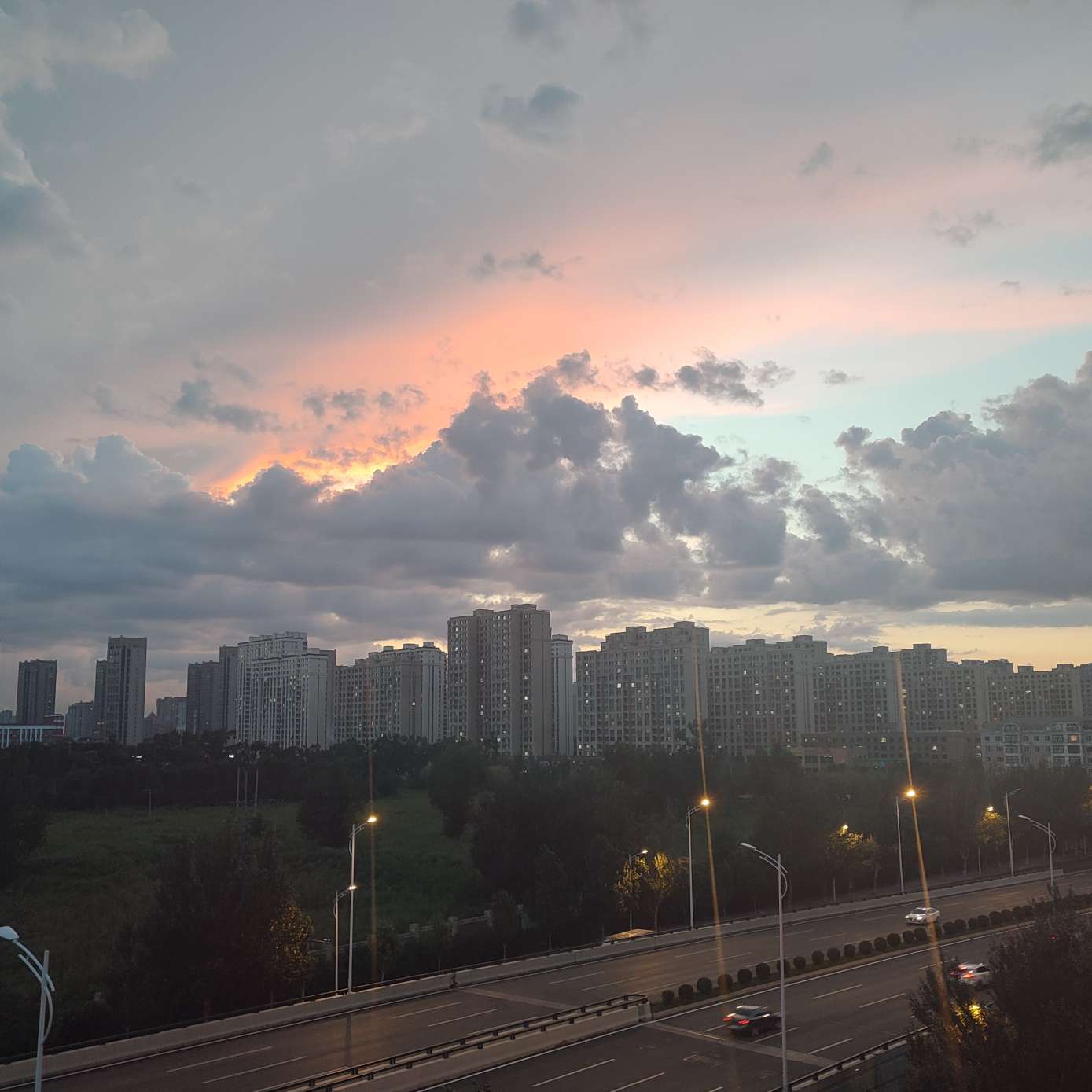 爱又怎能 无动于衷