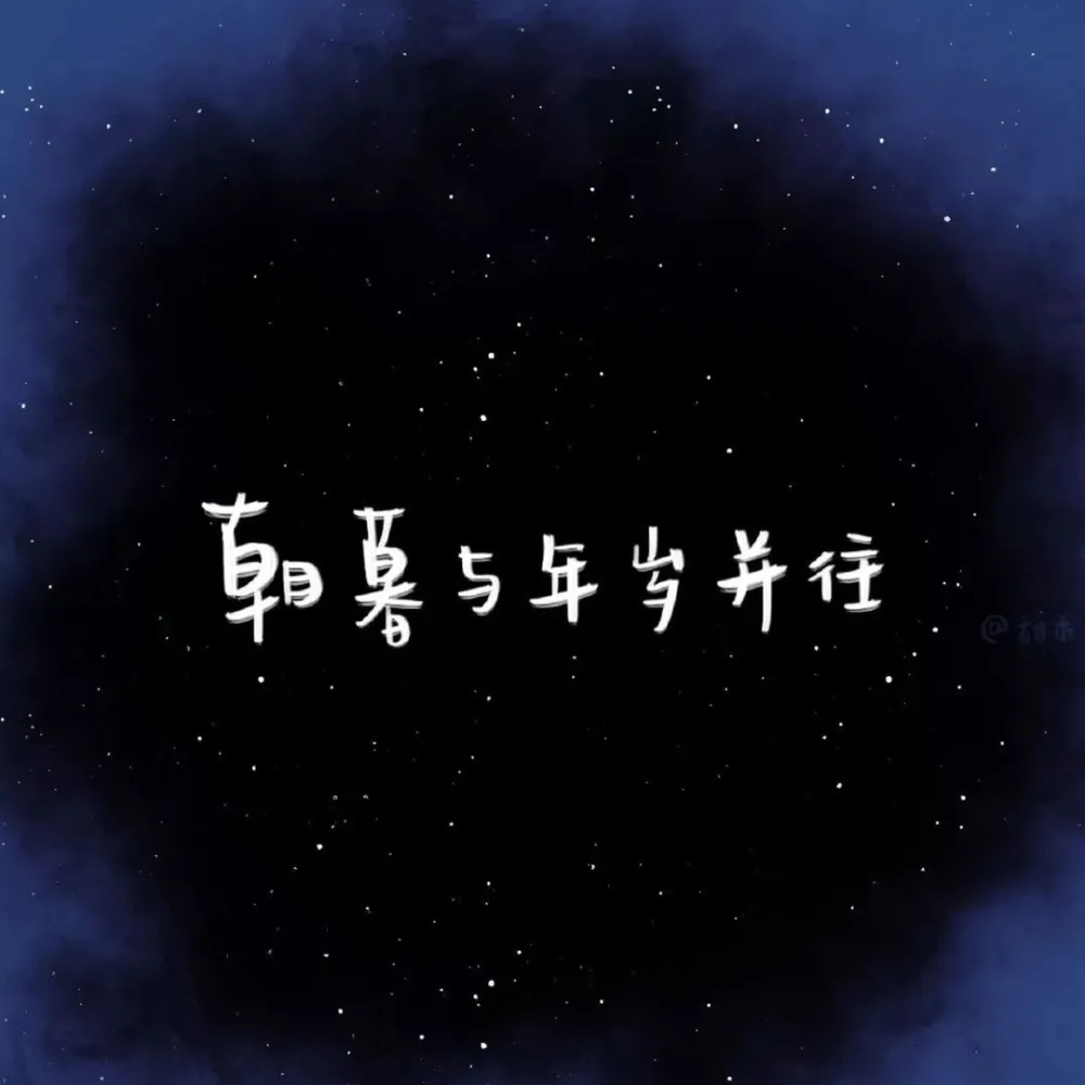 Y-眉目