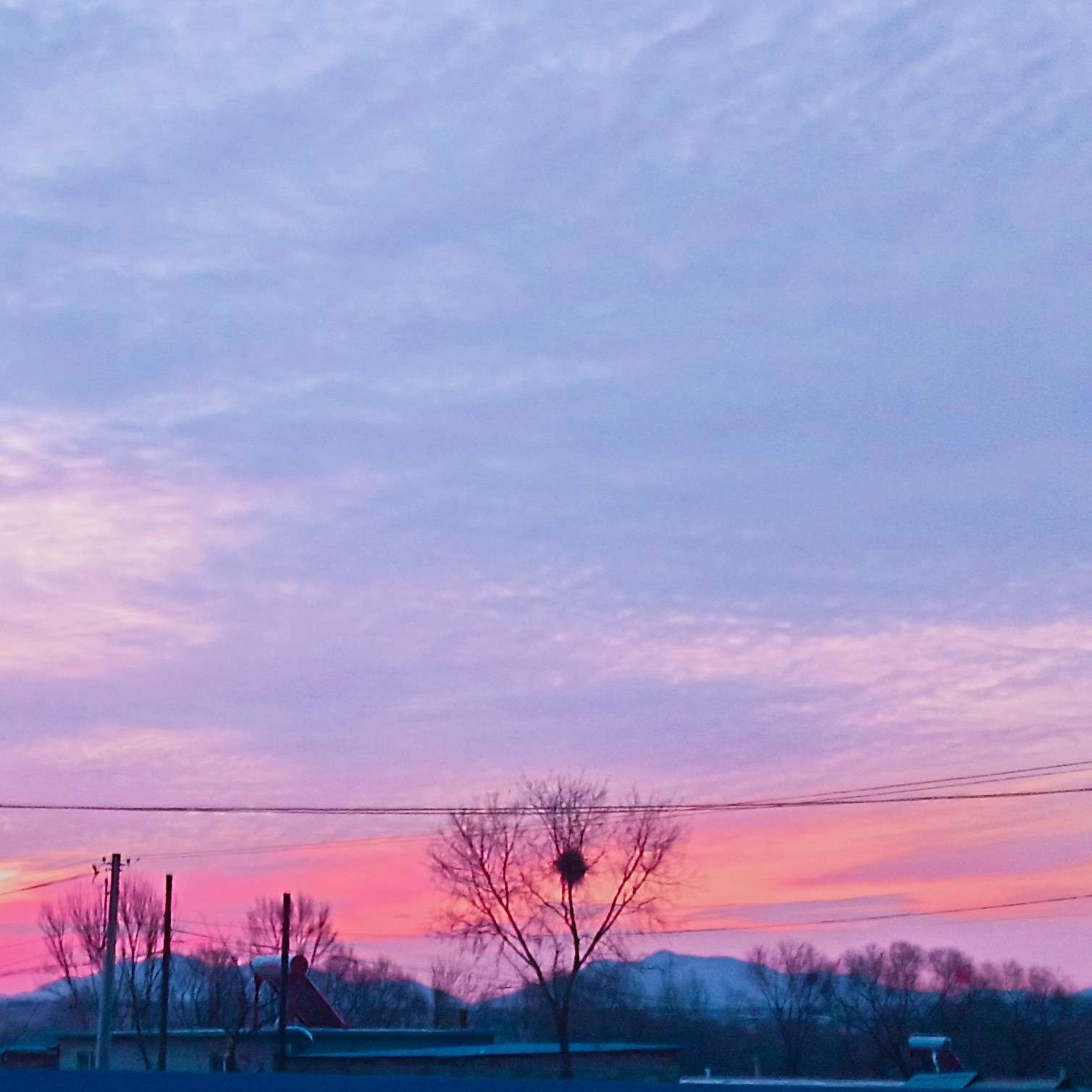 不会日落的专辑