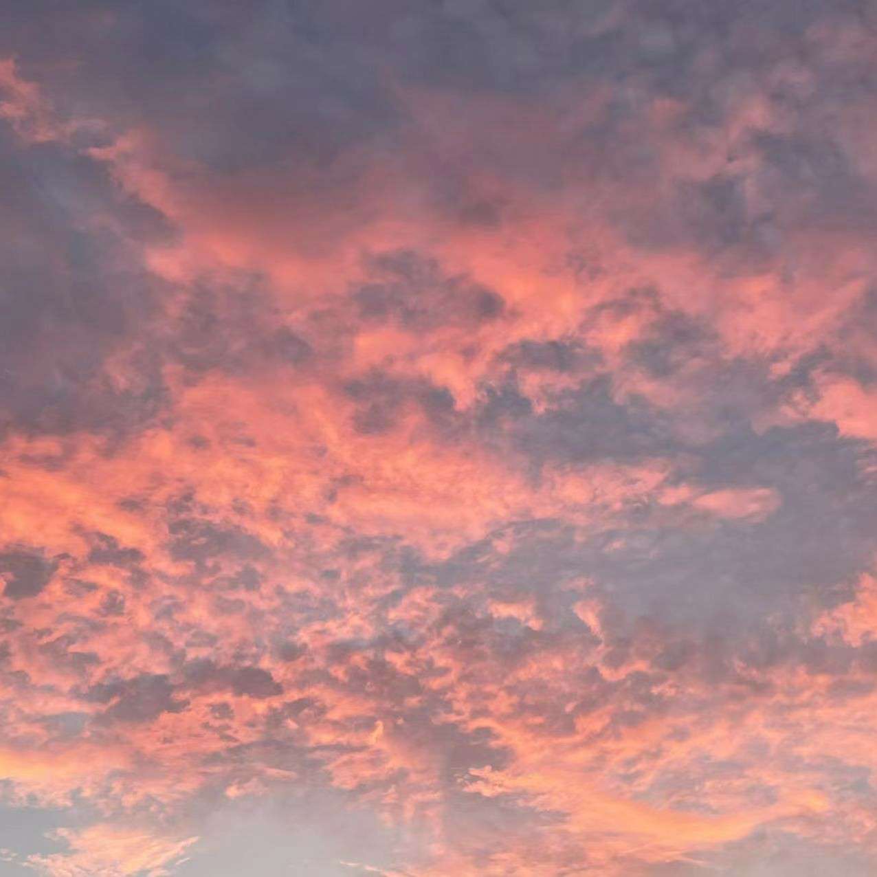 四月是你的谎言