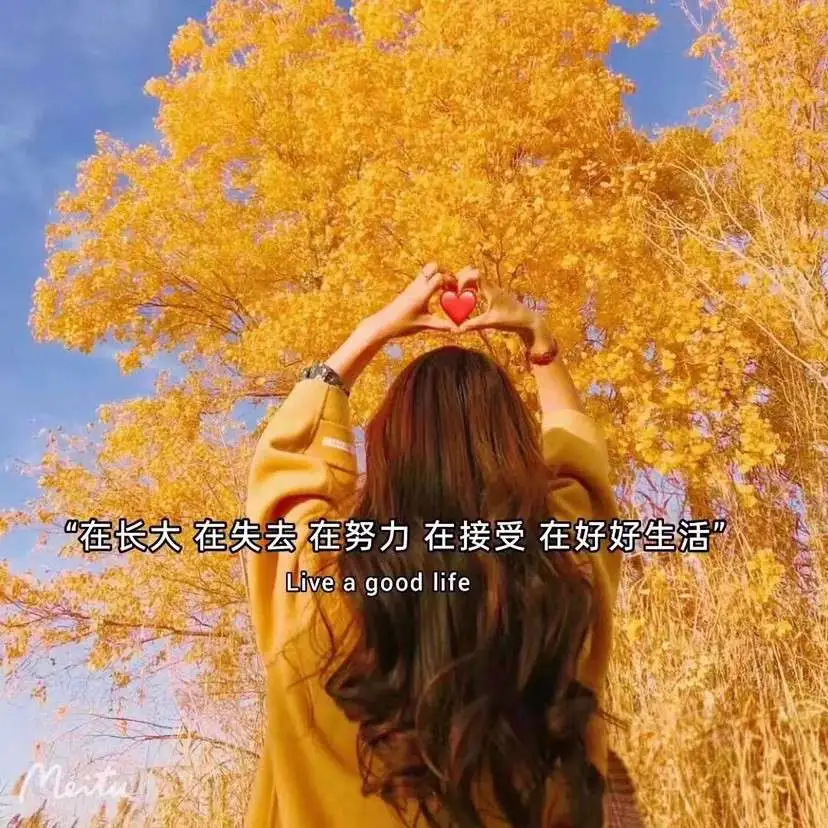素材