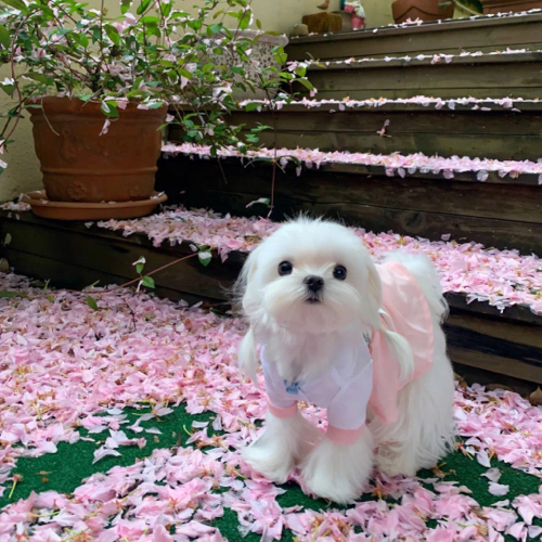 句句神反转的搞笑句子