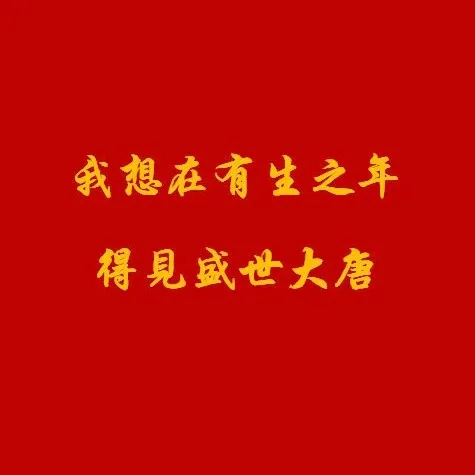 novel