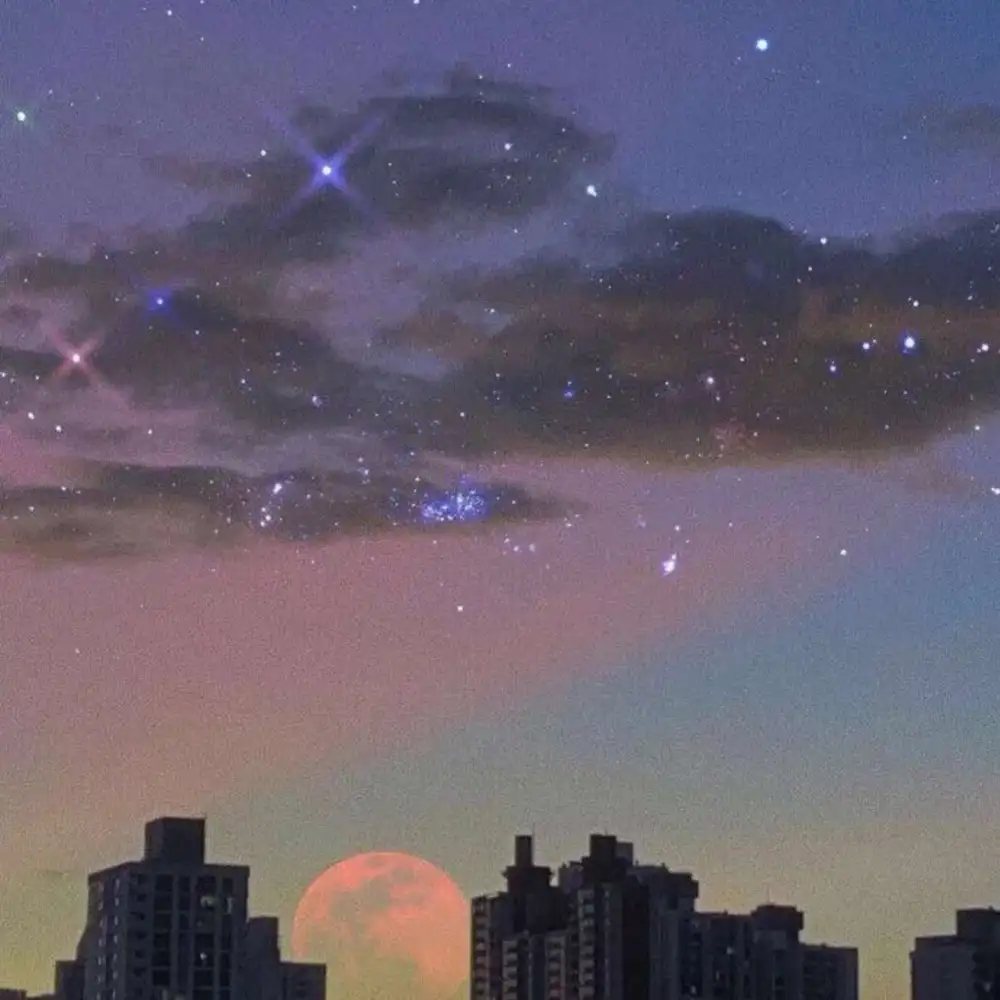 风景