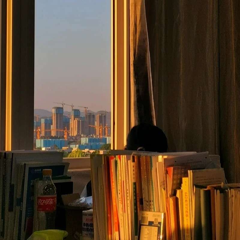 我因我们的相遇而骄傲