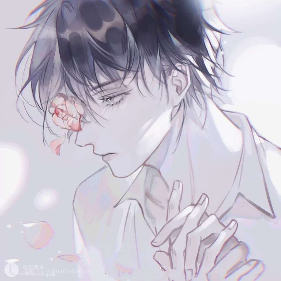 精彩的世界我发现