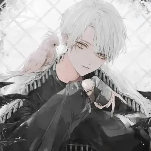 光明与喜