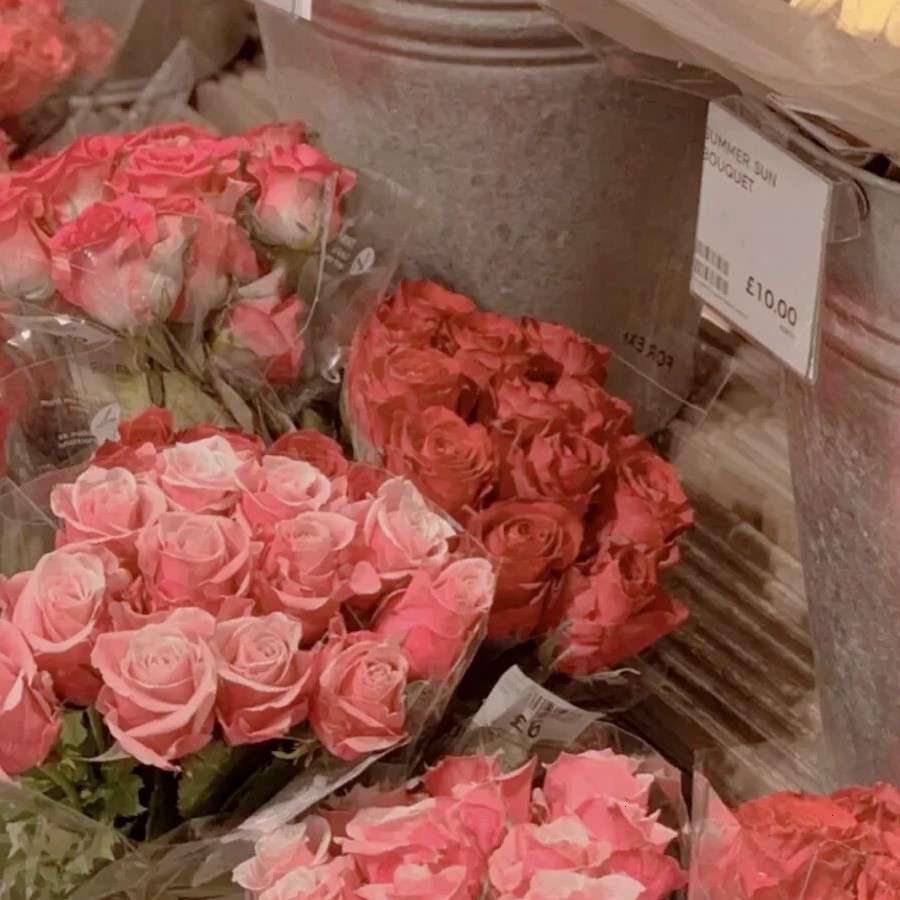 献给最好的你们