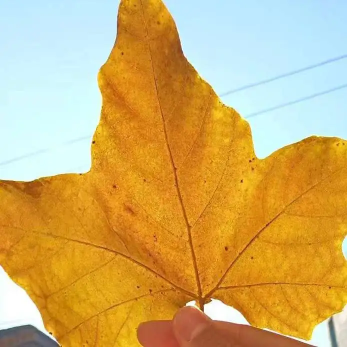 他们一个人的故事