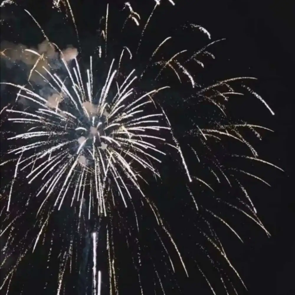 新年
