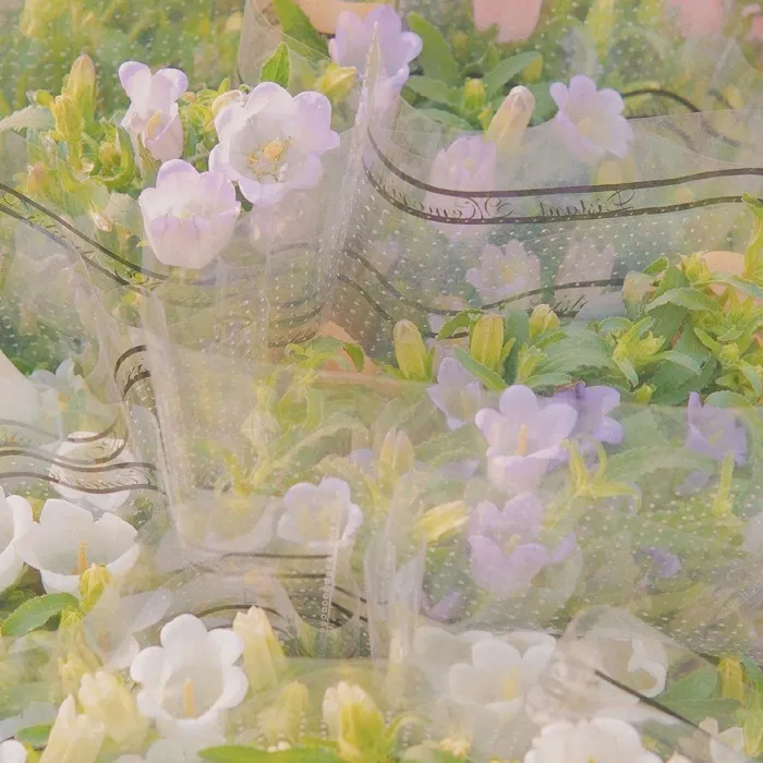 白日事故｜那些值得摘抄的句子