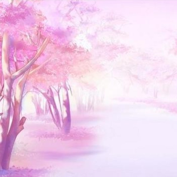 目之所及，皆是阳光