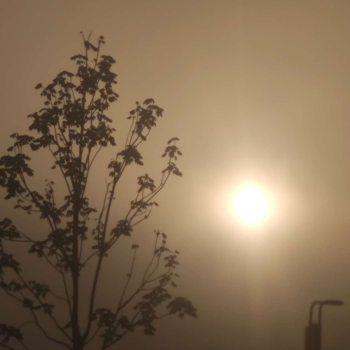 日落不息，心动不止。