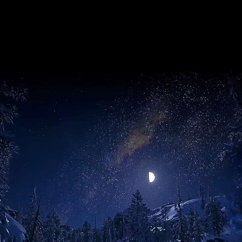 温柔而不失优雅