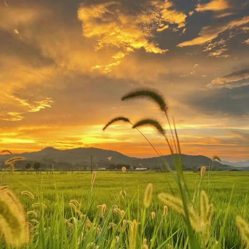 爱，是你我间，人世间的光明