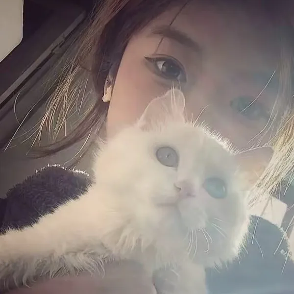 疲惫不堪