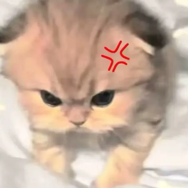 双鱼♓座
