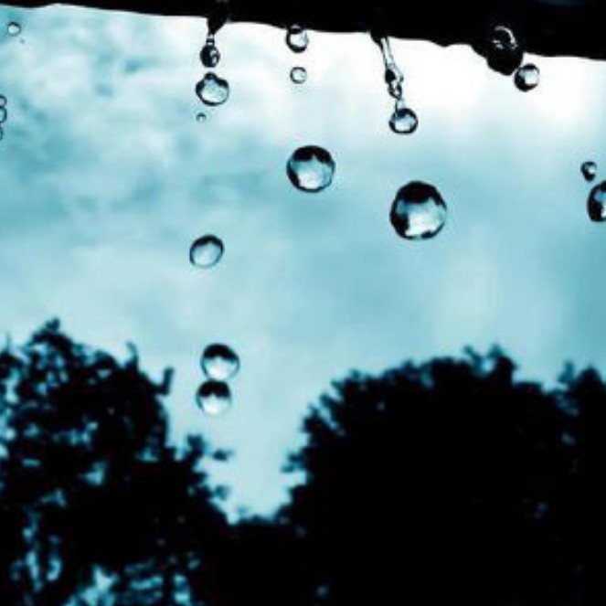 中二黑魔仙的专辑