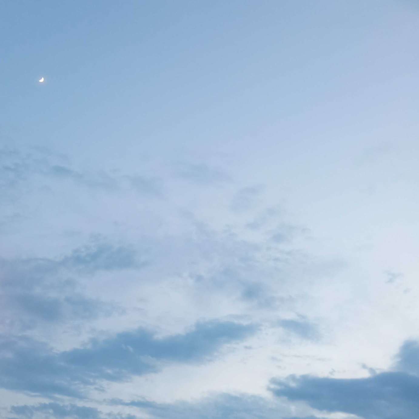 对“你”的描写