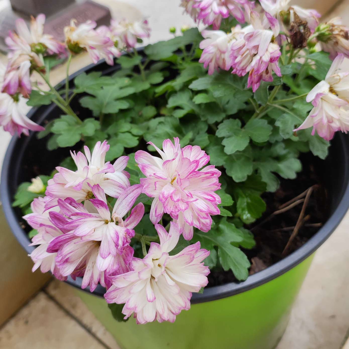 激发联想可改编句