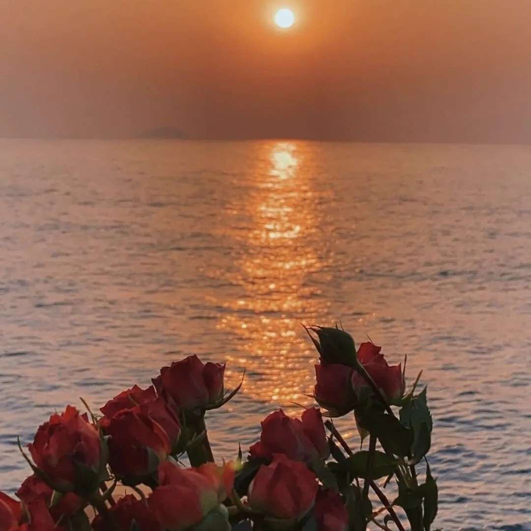 我喜欢你高级点怎么说