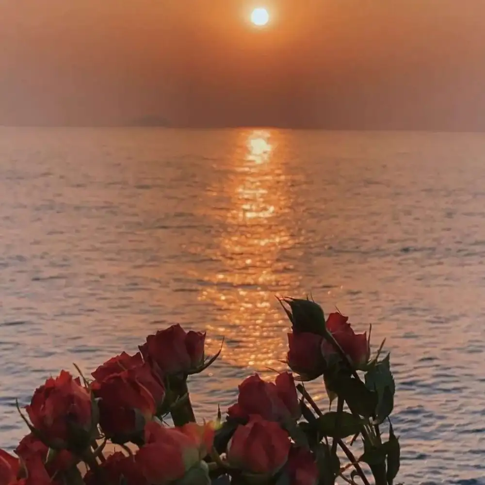 我喜欢你高级点怎么说