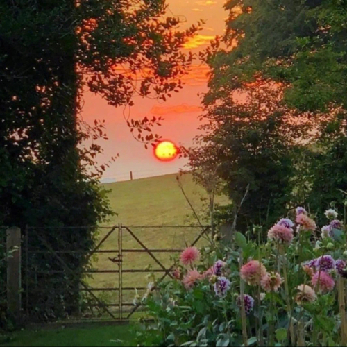 一些适合说给暧昧对象的小情话