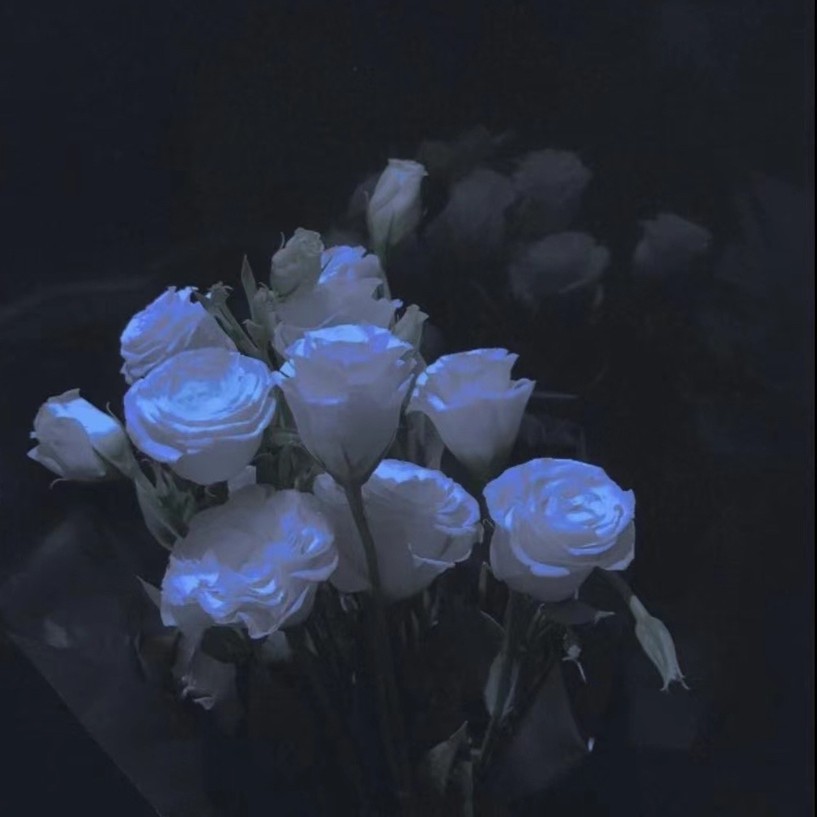 爱你的心日落而息