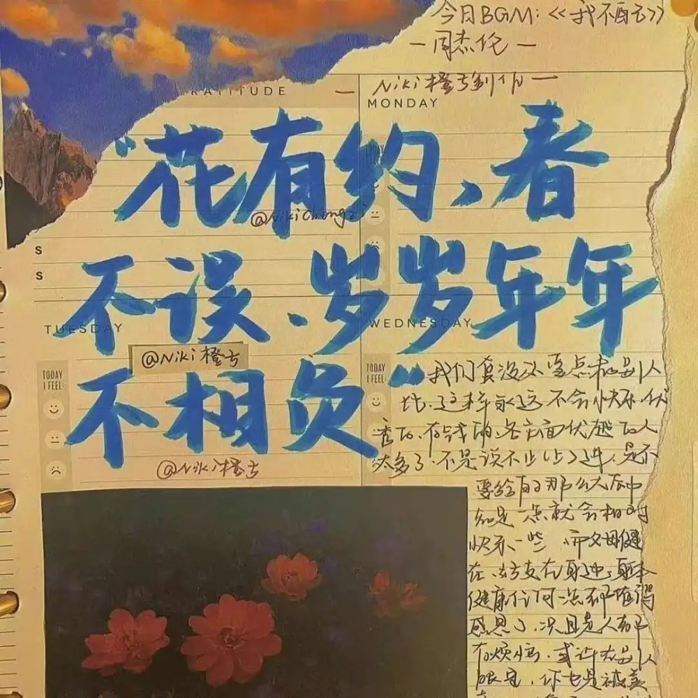要在热爱的生活里闪闪发光