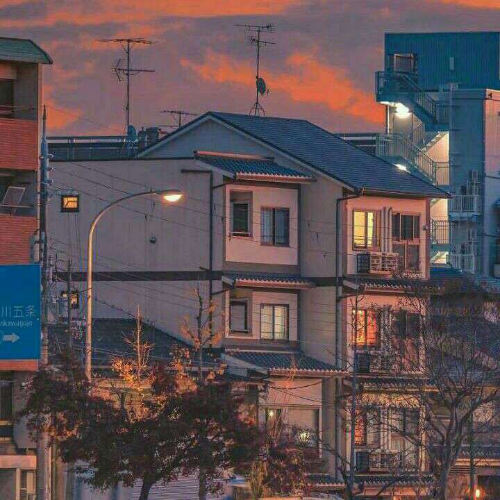 花海