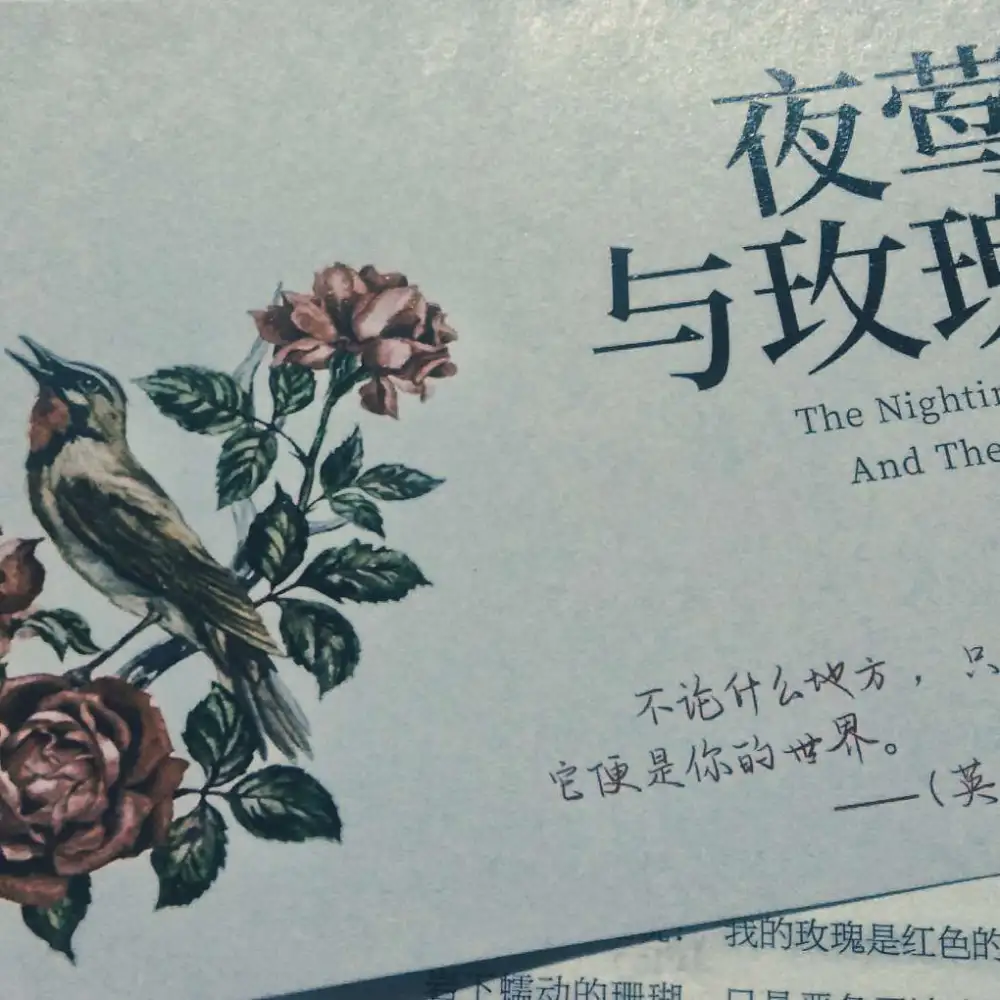《夜莺与玫瑰》