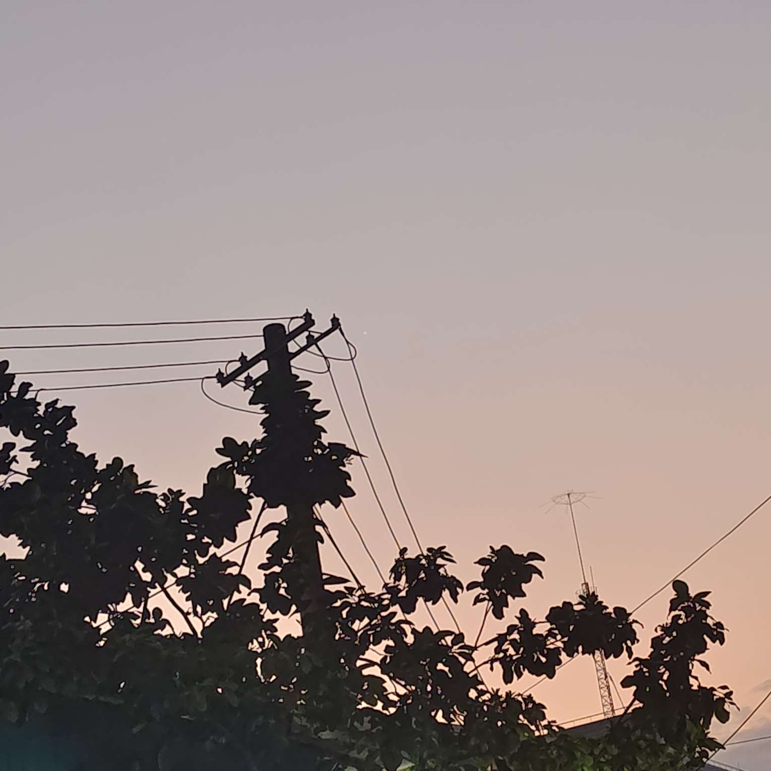 🐇方知有的专辑