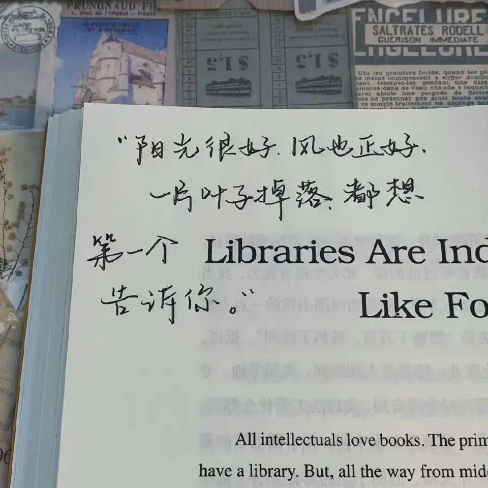 Pluto的小原创❤