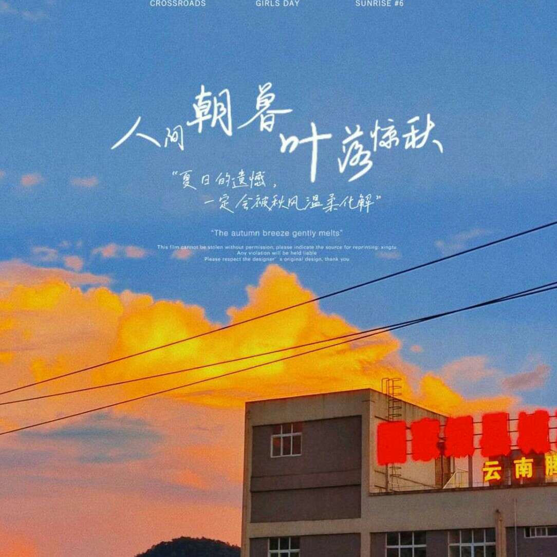 玫瑰不必长成松柏